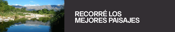 Publicidad